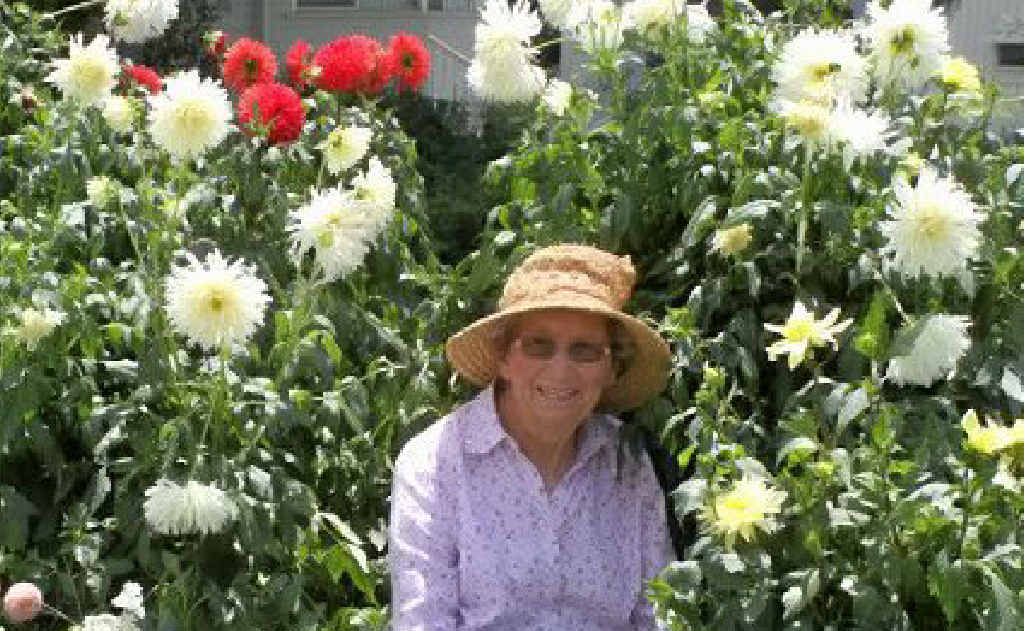 Merle Bamberry with some of the flowers she plans to enter in the Autumn Flower Show. Merle Bamberry with some of the flowers she plans to enter in the Autumn Flower Show.